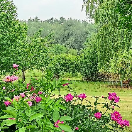 Verlinghem Les Chambres Du Vert Galant Rez De Jardin מראה חיצוני תמונה