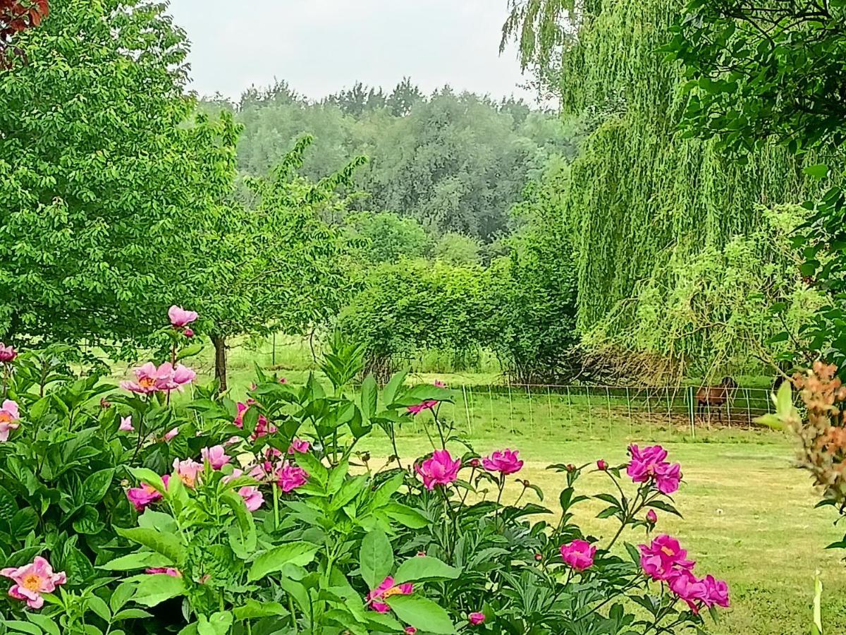 Verlinghem Les Chambres Du Vert Galant Rez De Jardin מראה חיצוני תמונה
